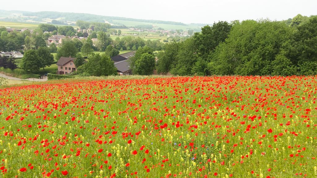 Belle - Mooi Zuid Limburg Villa Simpelveld Luaran gambar